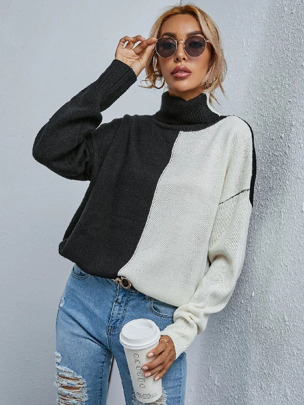 Casual Colorblock Long Sleeve High Neck Regular Women Sweater